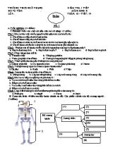 Đề kiểm tra một tiết Sinh học lớp 8 - Trường THCS Ngũ Phụng